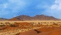 Desert landscape of NamibRand Nature Reserve, Namib, Namibia, Africa Royalty Free Stock Photo