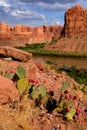 Desert landscape in Arches national park, Utah, USA Royalty Free Stock Photo