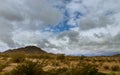 Desert landscape in Phoenix, Arizona cactus on the mountain