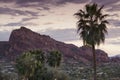 Desert landscape Phoenix, Arizona,USA Royalty Free Stock Photo