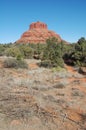 Desert landscape: plants in foreground, red sandstone mountain formation, in Arizona in the U.S. Southwest with sheer cliff face. Royalty Free Stock Photo