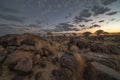 Desert landscape with with quiver trees Aloe dichotoma Royalty Free Stock Photo