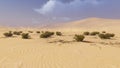 Desert landscape 1