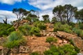 Desert landscape with red rocks, trees and shrubs in the Flinders Range, South Australia Royalty Free Stock Photo