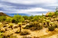 Desert Landscape and rugged Mountains in Tonto National Forest in Arizona, USA