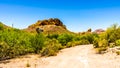 Desert Landscape and rugged Mountains in Tonto National Forest in Arizona, USA