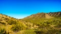 Desert landscape with Saguaro Cacti along the National Trail near the San Juan Trail Head in the mountains of South Mountain Park Royalty Free Stock Photo