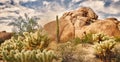 Desert landscape with Saguaro cacti and rock b