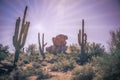 Desert landscape saguaro cactus and boulders Royalty Free Stock Photo