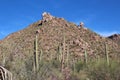 Desert landscape with Saguaro, Cholla Cacti, Ocotillo and Palo Verde on a rocky mountainside at Sus Picnic Area