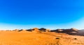 Desert landscape of the Sahara next to Mhamid in Morocco Royalty Free Stock Photo
