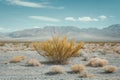 Desert landscape with sand dunes and bushes. By generative Ai Royalty Free Stock Photo