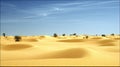 Golden Sand Dunes with Palm Trees under a Blue Sky Royalty Free Stock Photo