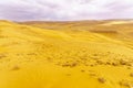 Desert landscape and sand dunes in the Uvda valley Royalty Free Stock Photo