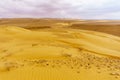 Desert landscape and sand dunes in the Uvda valley Royalty Free Stock Photo