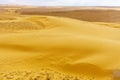 Desert landscape and sand dunes in the Uvda valley Royalty Free Stock Photo