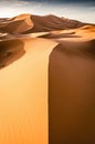 Desert landscape with sharp dune top. Sunrise view of the sand desert of Erg Chebbi. Vertical line