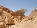 Desert landscape of Sinai Peninsula