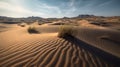 a desert landscape with a small bush in the middle of the desert