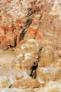 Desert landscape surrounding Petra