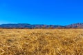 Desert landscape transitioning into mountains