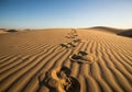 A desert landscape with undulating sand dunes under a clear blue sky. The sand\'s surface is Royalty Free Stock Photo
