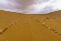Desert landscape in the Uvda valley Royalty Free Stock Photo