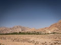 Desert landscape view in garmeh oasis southern iran Royalty Free Stock Photo
