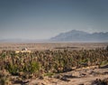 Desert landscape view in garmeh oasis southern iran Royalty Free Stock Photo