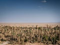 Desert landscape view in garmeh oasis southern iran Royalty Free Stock Photo