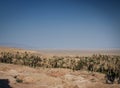 Desert landscape view in garmeh oasis southern iran Royalty Free Stock Photo