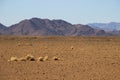 Desert landscapes with mountains in the south of Namibia. The dry season, dry vegetation