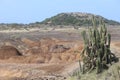 Desert Landscapes of Savane des PÃÂ©trifications Martinique French West Indies