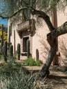 Desert landscaping, Pima County Courthouse