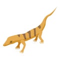 Desert lizard icon, isometric style