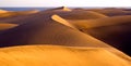 Desert Maspalomas Gran Canaria