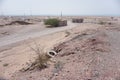 Desert middle east shelter in Persian Gulf