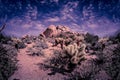 Desert mountain trail hike in Arizona Royalty Free Stock Photo