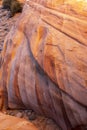 Desert Mountain Views Near Valley Of Fire in Overton, Nevada