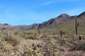 A desert, mountainous landscape on the Horseshoe Loop Trail in the McDowell Sonoran Preserve Royalty Free Stock Photo