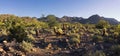 Desert Mountains and Plains of Arizona