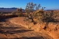 Desert mountains in Kazakhstan Royalty Free Stock Photo