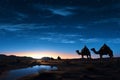 Desert mystique Camels in silhouette against a starlit evening sky