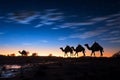 Desert mystique Camels in silhouette against a starlit evening sky
