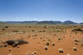 Desert Namibia, Wolwedans near Sossusvlei in Namib. Royalty Free Stock Photo