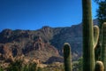 Desert near Superior Royalty Free Stock Photo