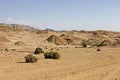 Desert Neart Walvis Bay in Nambia