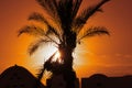 Desert Nights Royalty Free Stock Photo