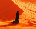 Desert nomads silhouette against a vast dune