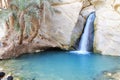 Desert Oasis, Chebika, Tunisia Royalty Free Stock Photo